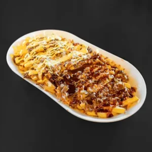 Pulled pork Fries